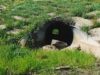 Spring maintenance - clear all the ditches and culverts of debris