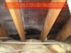 Attic moisture - Frost and black mold covered roof decking surface, heavy condensation stains on roof framing - caused by too much insulation stuffed into the soffit and blocking soffit vents