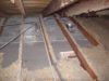 Attic moisture - Missing attic floor insulation allows heat transfer between the conditioned space of your home and the attic