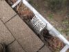 Clean gutters on regular basis to prevent overflowing - plastic strainer