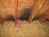 Attic black mold - cathedral ceiling insualtion without required 2 inch spacing to decking (cold climate)