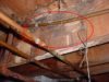 Crawlspace mold on floor structure caused by leaking plumbing