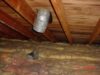 Attic black mold cause - missing kitchen vent section in attic area