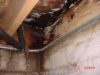 Crawlspace mold on floor joists caused by leakage from exterior