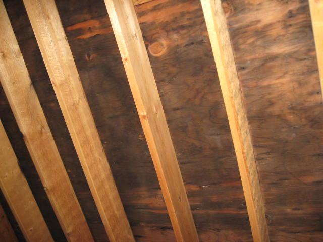 How To Get Rid Of Mold In Your Attic Kill Stubborn Mold Checkthishouse