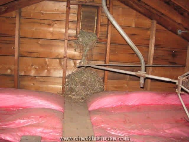 Attic Ventilation Requirements How Many Attic Vents Does