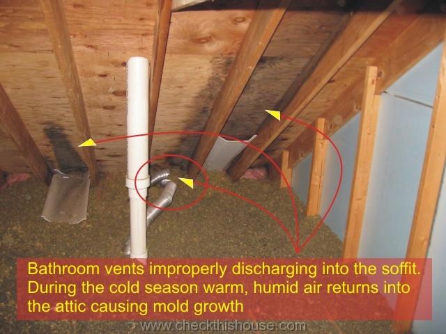 bathroom exhaust fan venting through roof